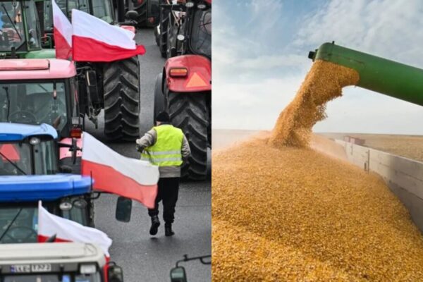 Польська логістика страждає через відсутність зерна з України
